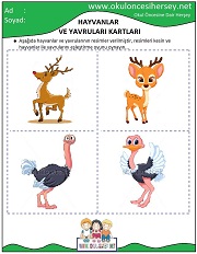 Hayvanlar ve Yavruları Eğitici Kartları